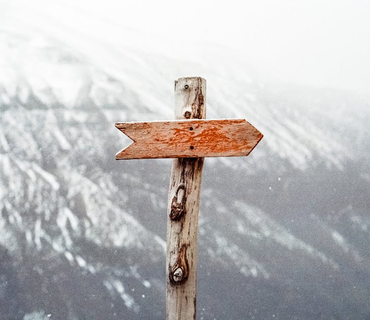 The Ultimate Guide to Choosing the Right CRM Software