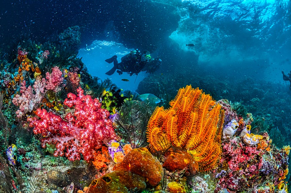 How Bespoke Agencies Curate Custom Diving Expeditions in the Coral Triangle