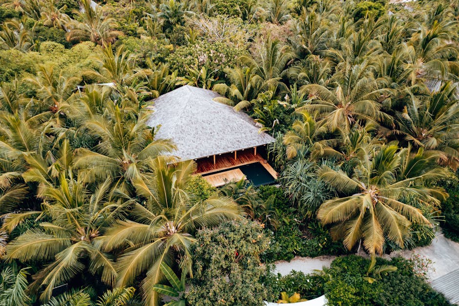 Designing Custom Private Island Escapes for VIP Families