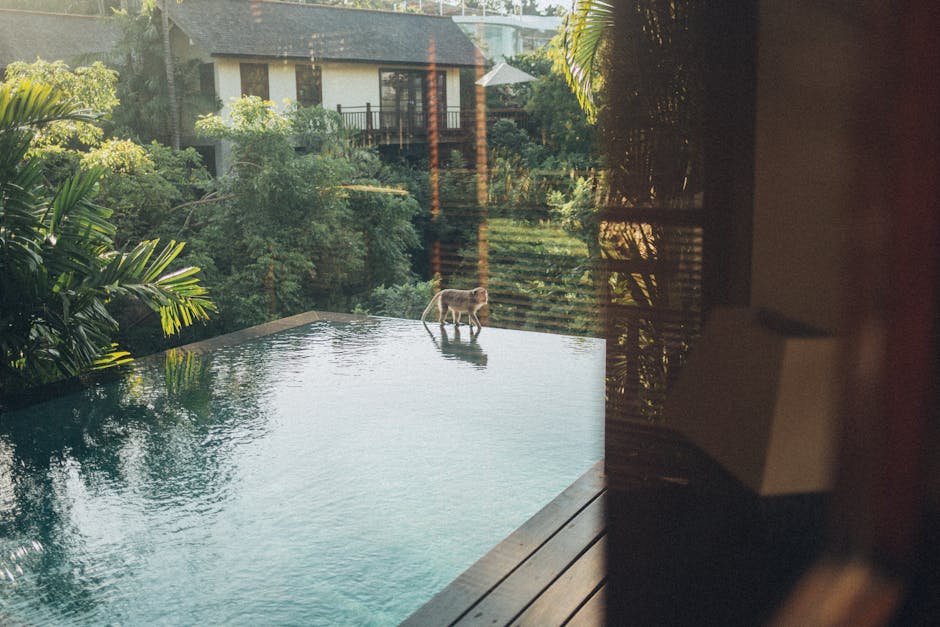 How Ultra-Luxury Travel Agencies Craft Private Wildlife Safaris
