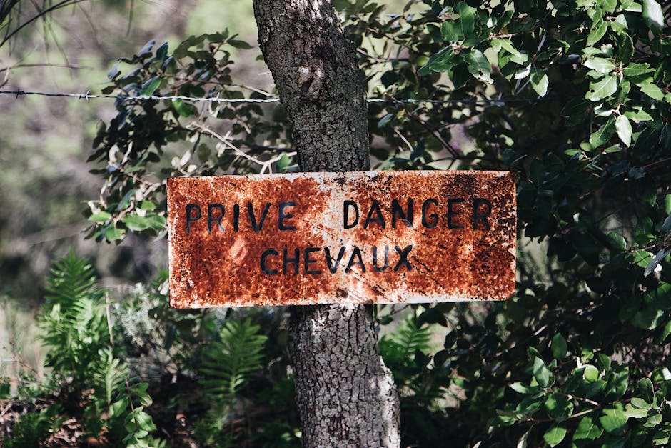 The Secrets of Curating Private Yachting Experiences in French Polynesia