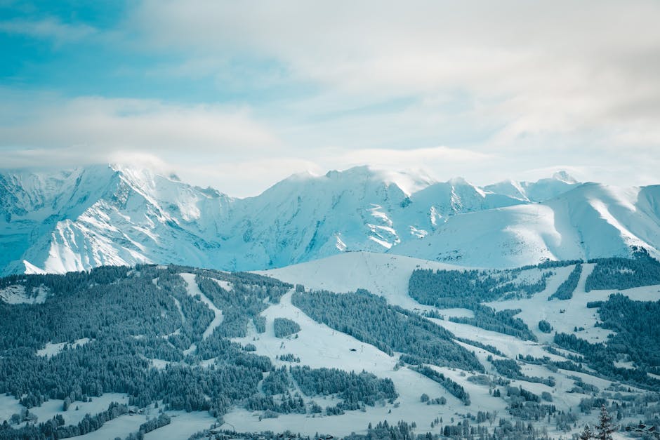 How Bespoke Travel Agencies Tailor Exclusive Polar Bear Viewing Tours